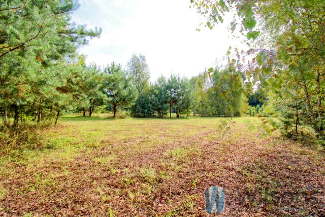 dom wolnostojący, 5 pokoi Ogonowo. Zdjęcie 7