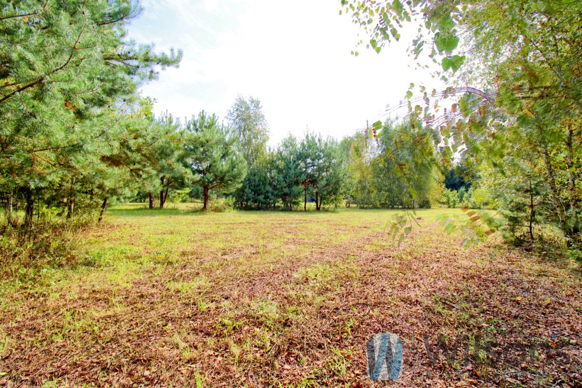 dom wolnostojący, 5 pokoi Ogonowo. Zdjęcie 7