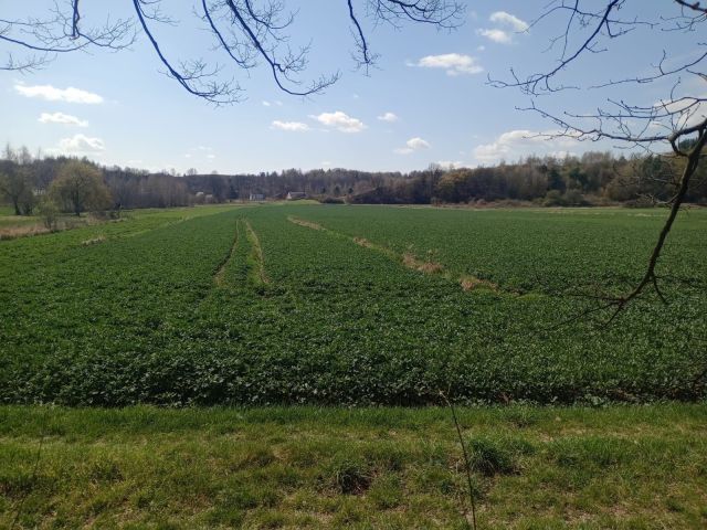 Działka rolna Nietulisko Małe. Zdjęcie 1