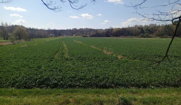 Działka rolna Nietulisko Małe