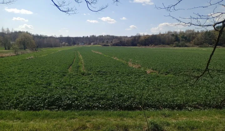 Działka rolna Nietulisko Małe