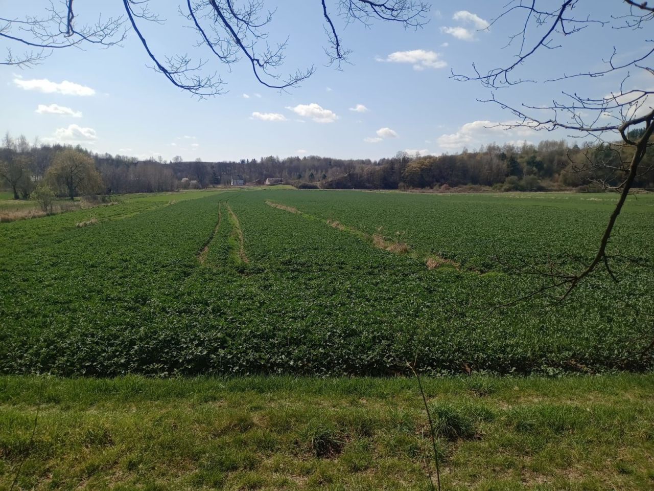 Działka rolna Nietulisko Małe