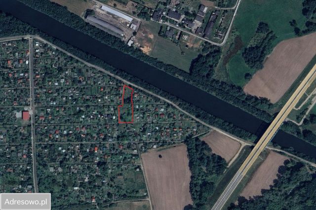 Działka rekreacyjna Kędzierzyn-Koźle Kuźniczka. Zdjęcie 1