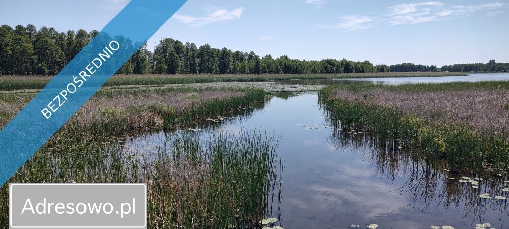 Działka rolna Szczechy Małe. Zdjęcie 8