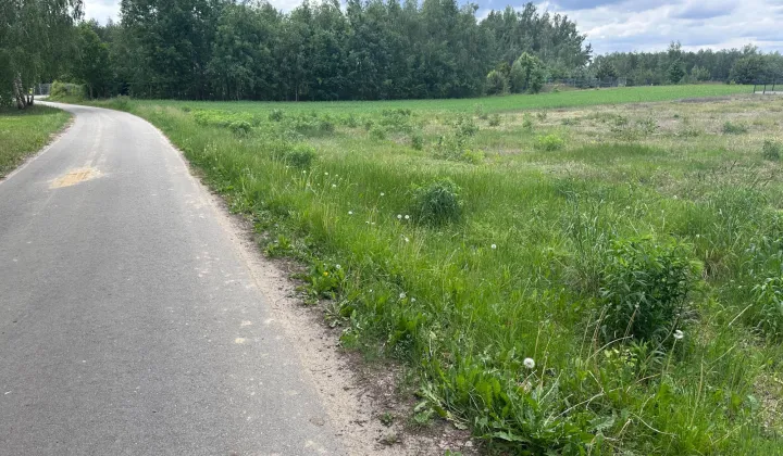 Działka Budy Trzcińskie