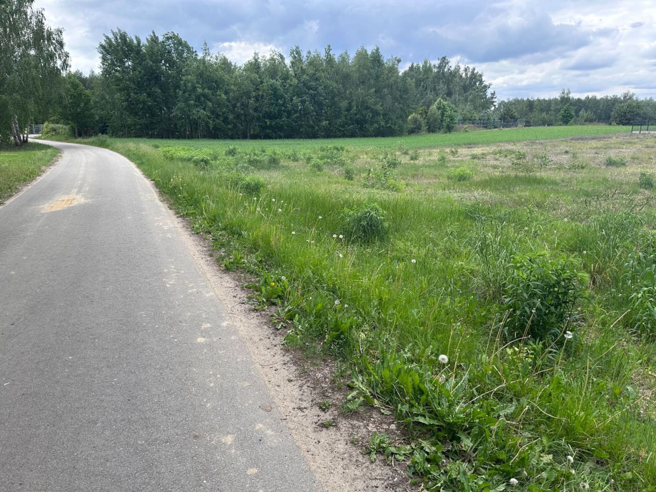 Działka Budy Trzcińskie. Zdjęcie 1