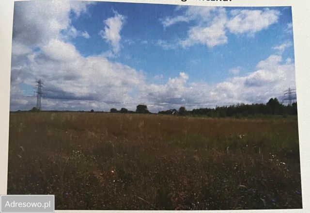Działka budowlana Barcice Drwalewskie. Zdjęcie 1