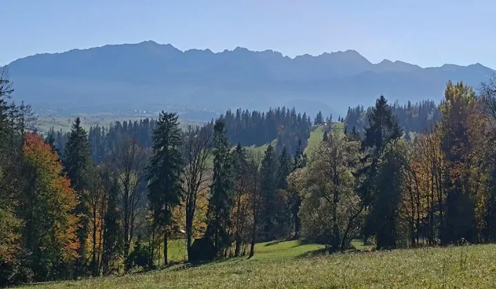 Działka rolna Suche