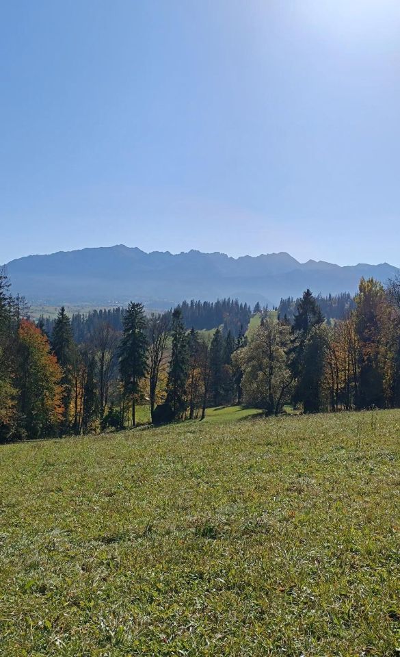 Działka rolna Suche