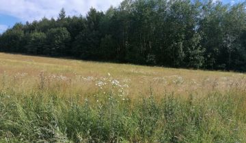 Działka budowlana Dzikowiec