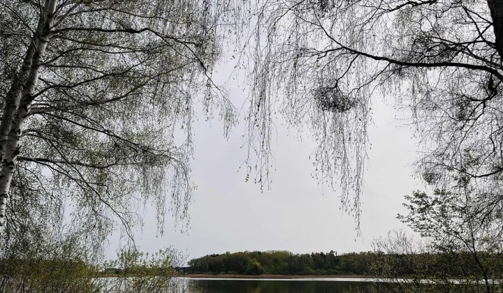 Działka budowlana Lipiany