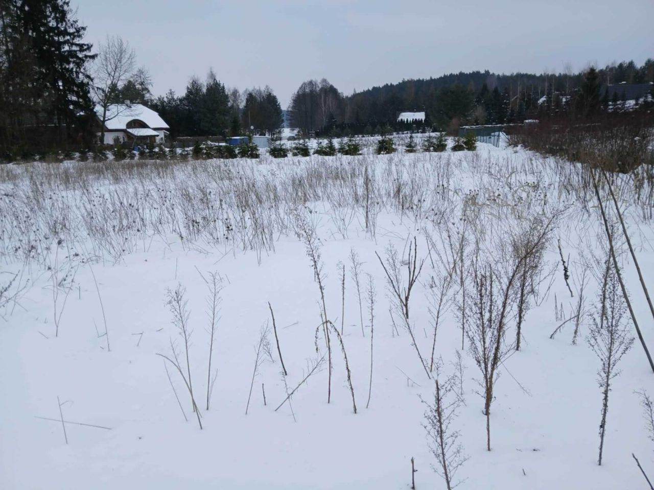 Działka rekreacyjna Lekarty. Zdjęcie 2