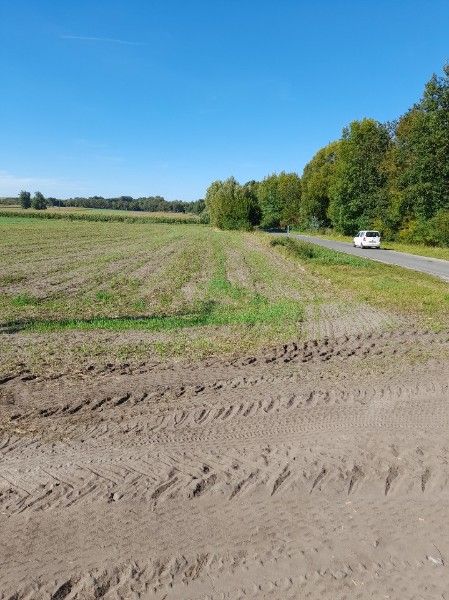 Działka budowlana Jadwiżyn. Zdjęcie 8