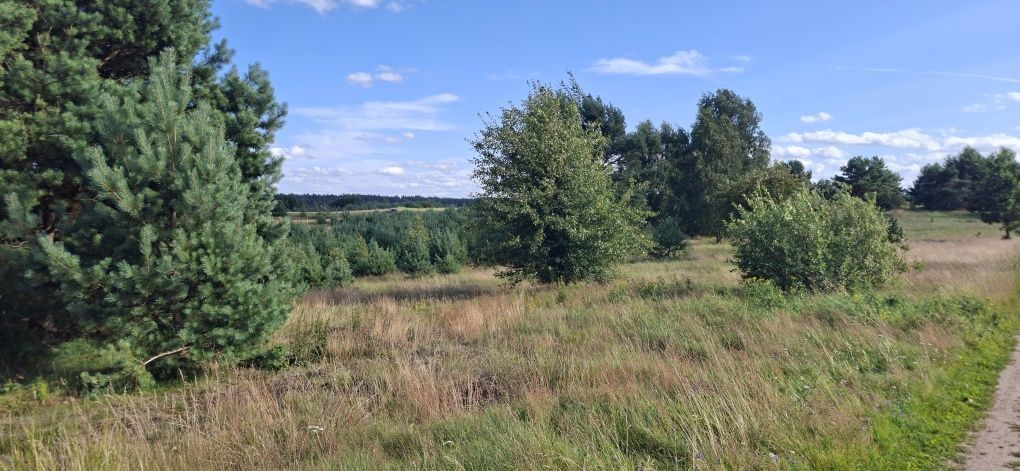 Działka budowlana Spore. Zdjęcie 6