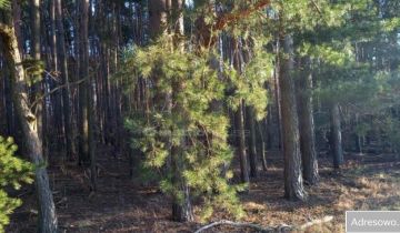 Działka rolna Nowy Kozłów Pierwszy