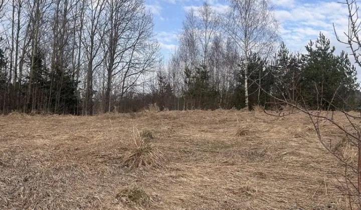 Działka rekreacyjna Ławki