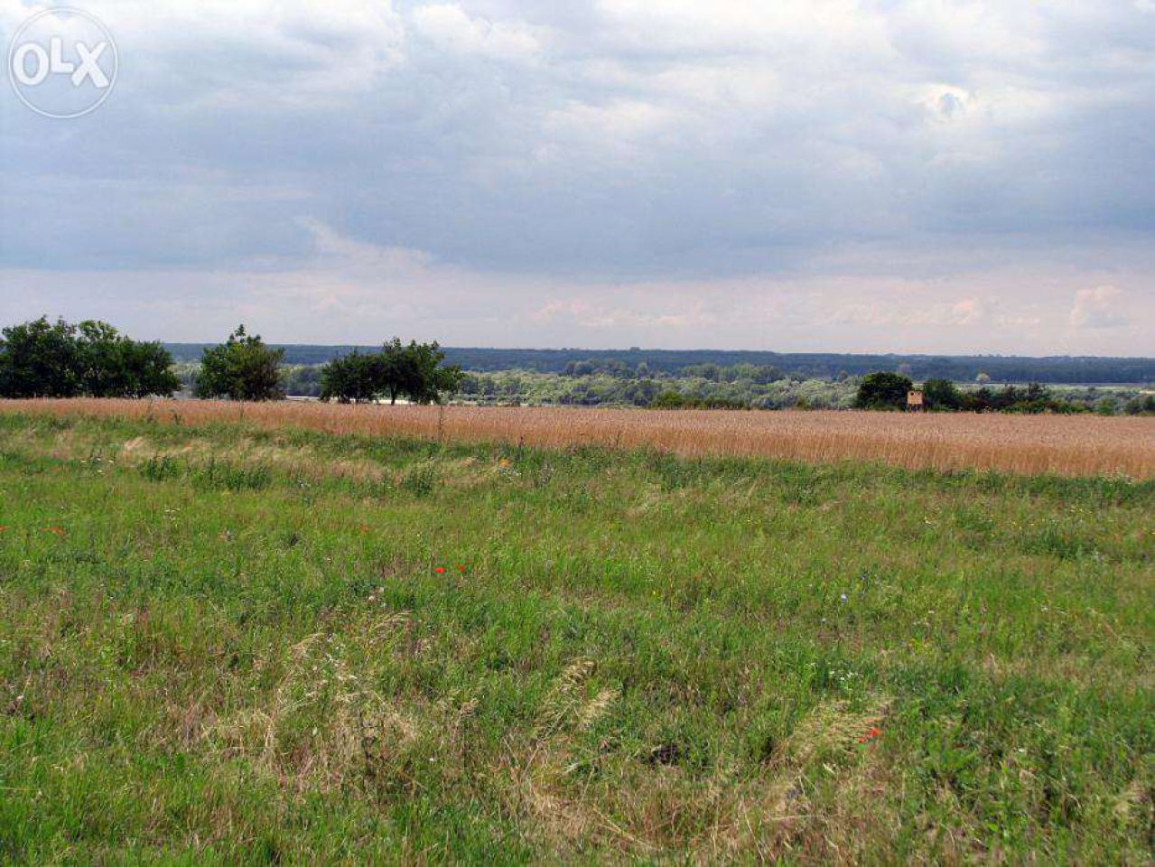 Działka budowlana Kazimierz Dolny. Zdjęcie 4