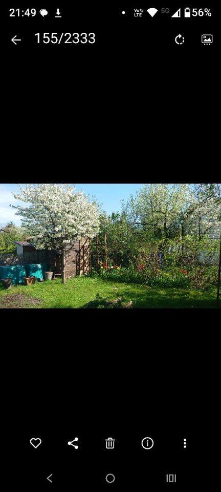 Działka rod Łódź, ul. Pustynna. Zdjęcie 7