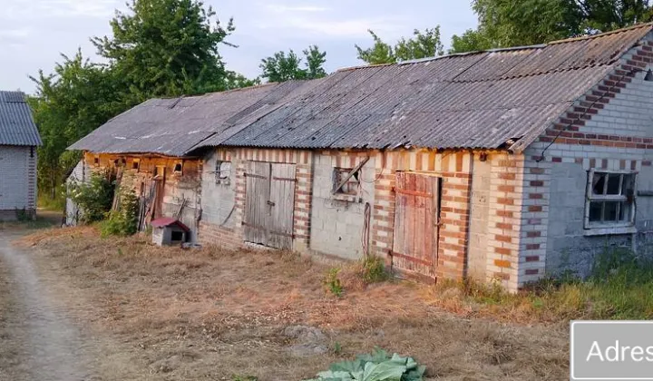 siedlisko Gliniska