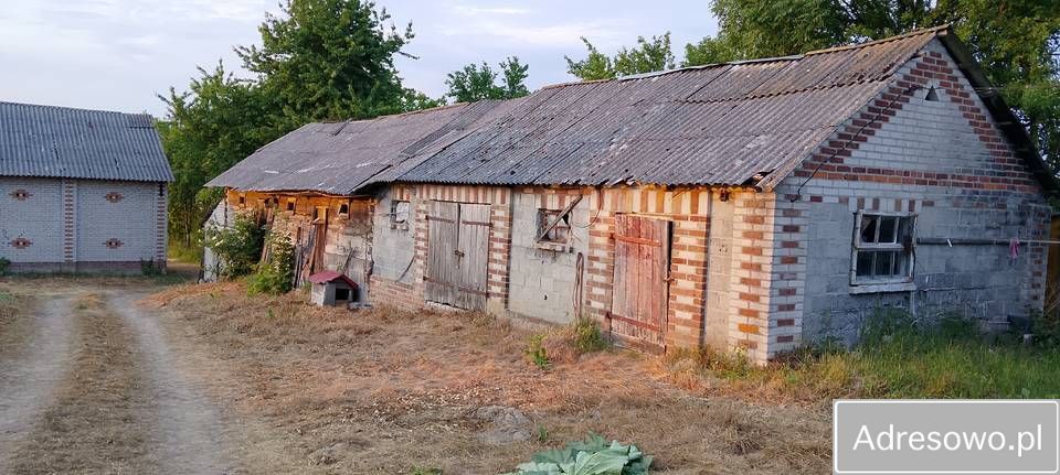 siedlisko Gliniska. Zdjęcie 1