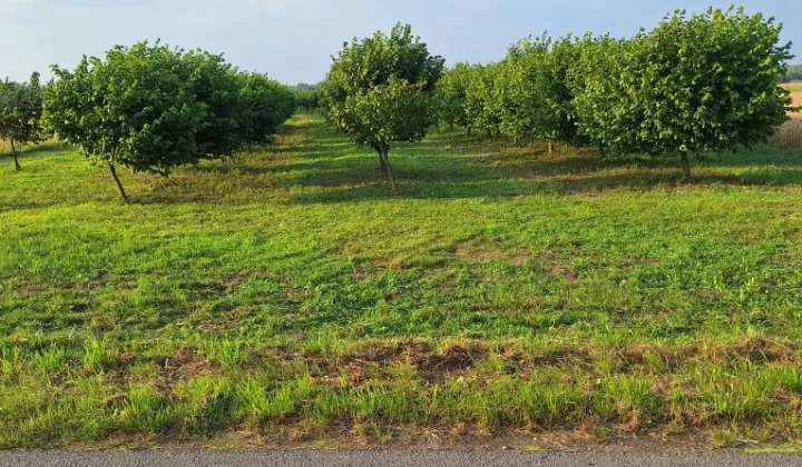 Działka rolna Krzczonów