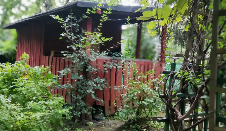 Działka rod Warszawa Mokotów