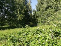 Działka inwestycyjna Słomków. Zdjęcie 3