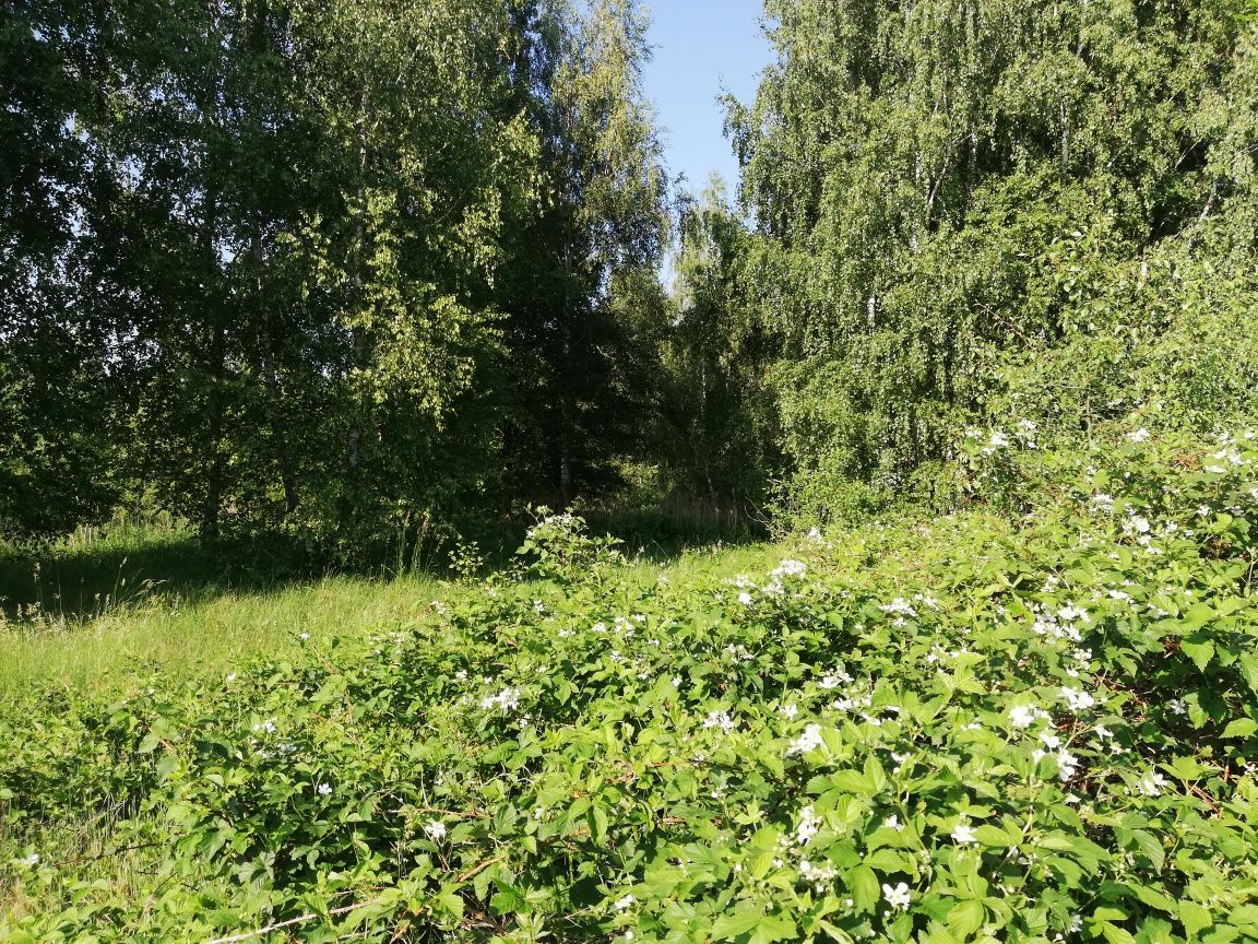 Działka inwestycyjna Słomków. Zdjęcie 4