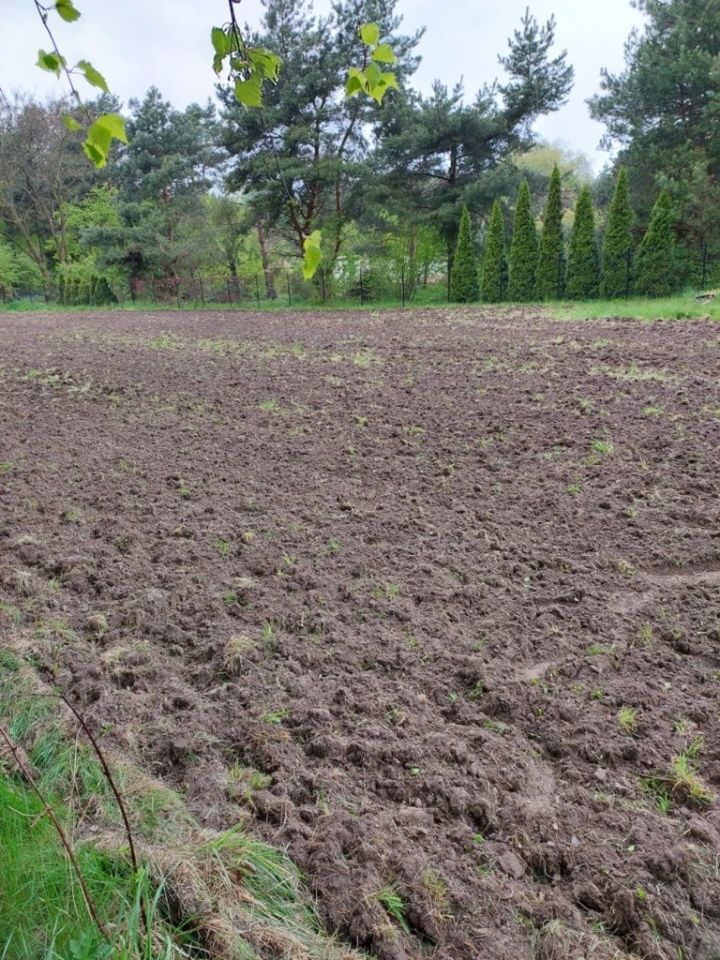 Działka budowlana Tymianka. Zdjęcie 6