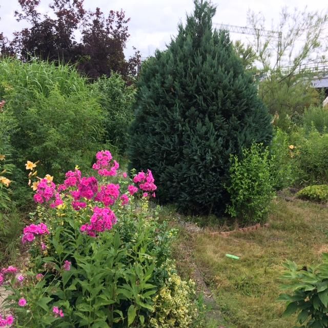 Działka rod Wrocław Stare Miasto, ul. Góralska. Zdjęcie 20