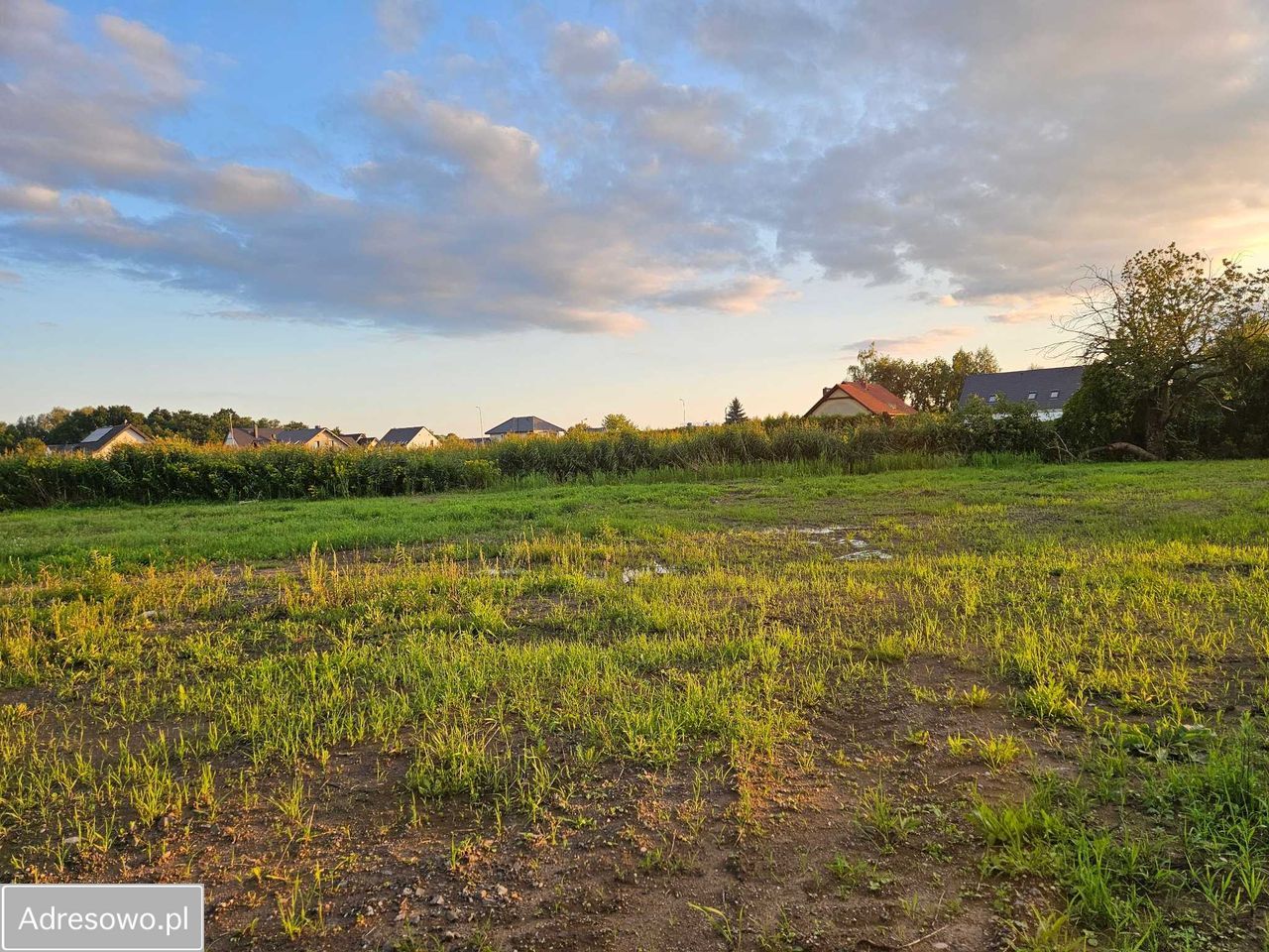 Działka budowlana Długołęka, ul. Chabrowa. Zdjęcie 6