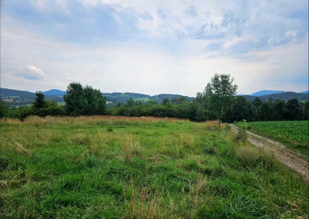 Działka rolna Cieszyn, Puńców. Zdjęcie 5