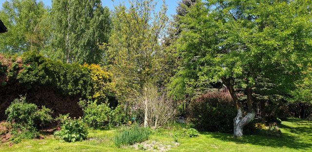 Działka rekreacyjna Brzeszcze, ul. Liliowa. Zdjęcie 1