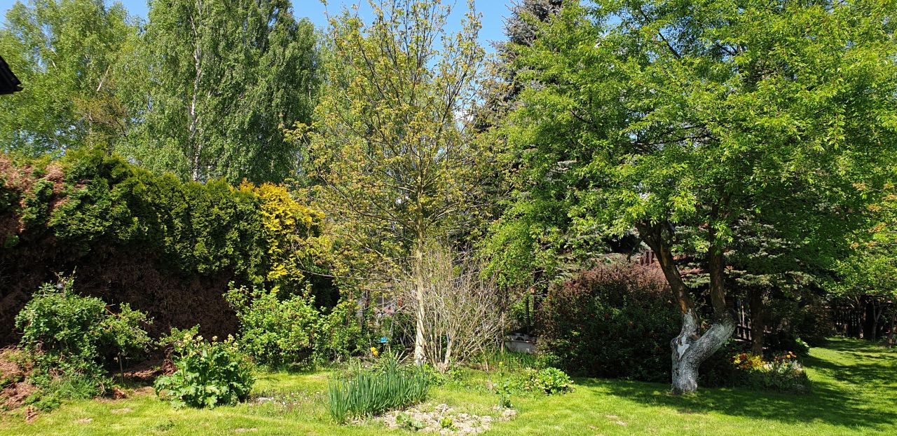 Działka rekreacyjna Brzeszcze, ul. Liliowa