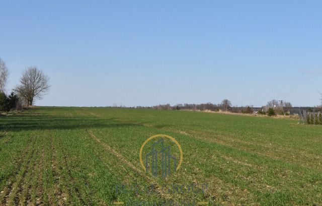 Działka Kunów. Zdjęcie 6