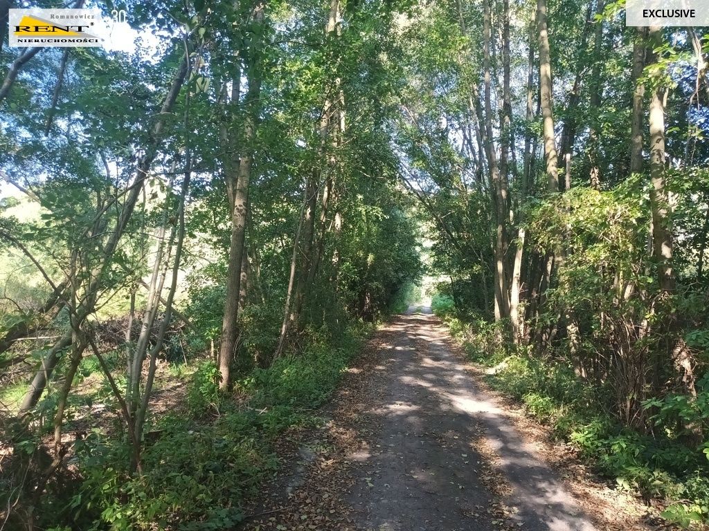 Działka rolna Binowo. Zdjęcie 7