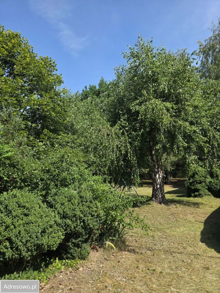 Działka rolno-budowlana Nowe Polesie. Zdjęcie 5