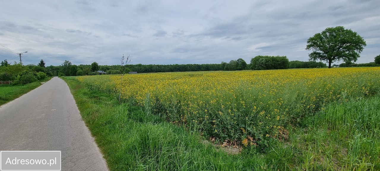 Działka rolno-budowlana Jadwinów. Zdjęcie 2
