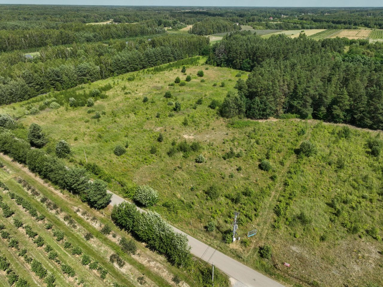 Działka inwestycyjna Podkowa Leśna. Zdjęcie 3