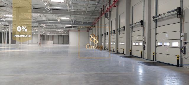 Hala/magazyn Wolica. Zdjęcie 2