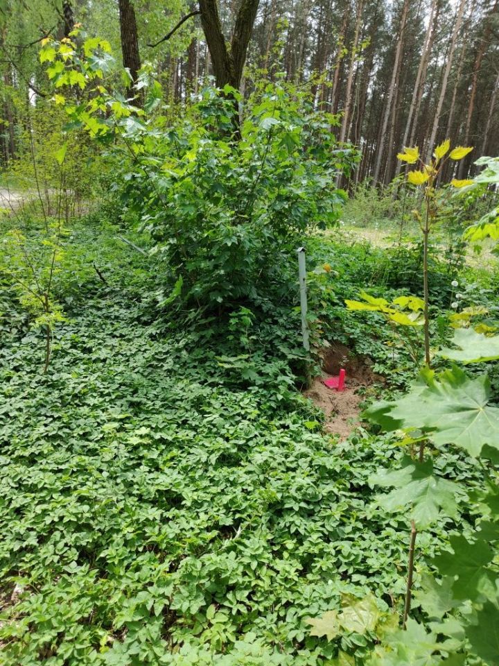 Działka budowlana Osieczna. Zdjęcie 7