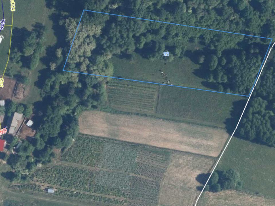 Działka rolna Kwaczała Kamionka Duża, ul. Widokowa. Zdjęcie 5