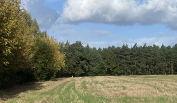 Działka leśna Polesie