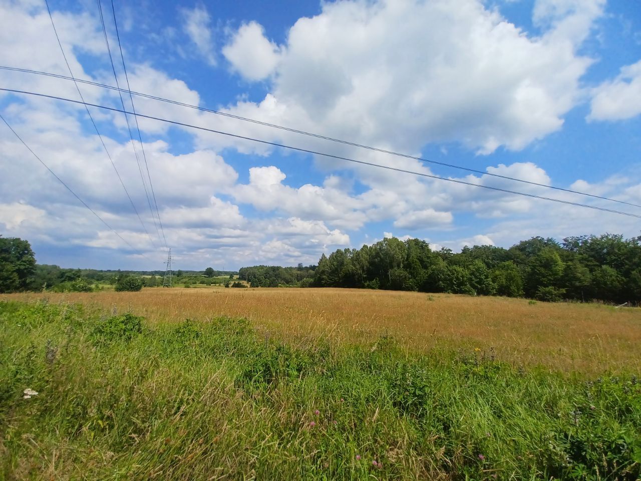 Działka budowlana Kołtki. Zdjęcie 7