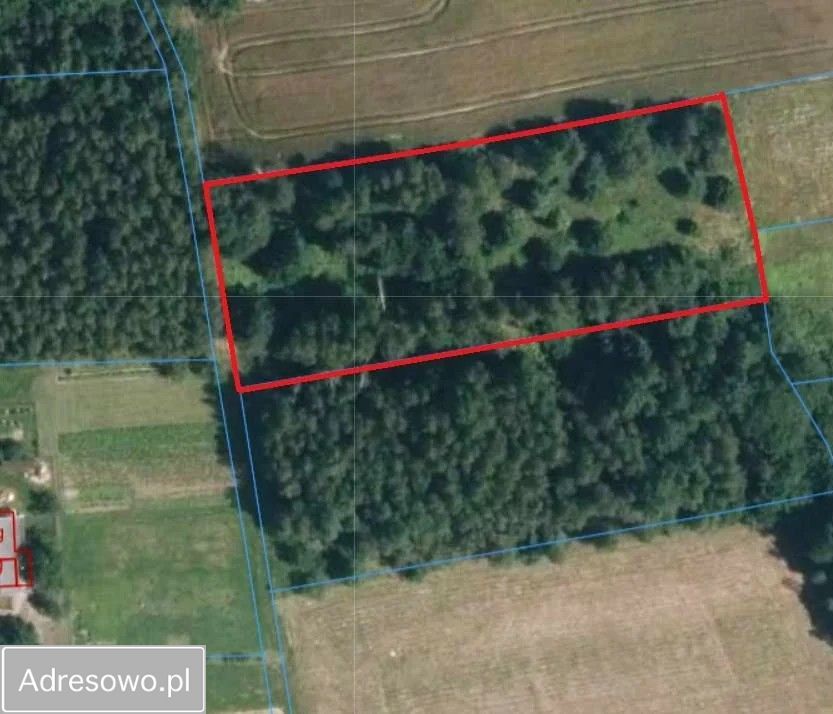 Działka rolno-budowlana Olszowa. Zdjęcie 7