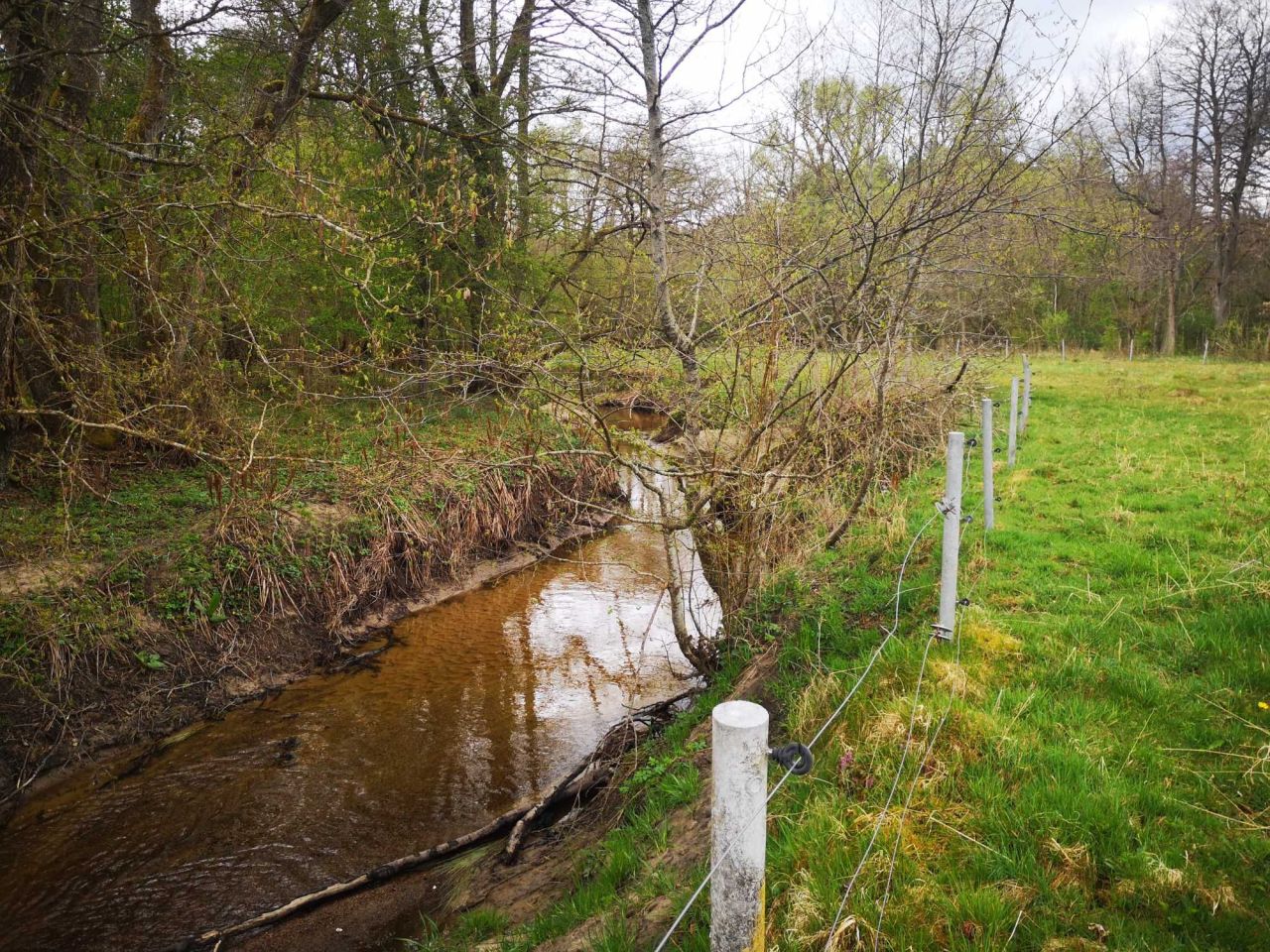 Działka rolna Mieszałki. Zdjęcie 7