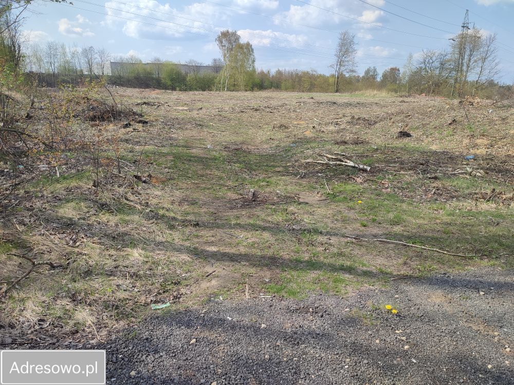 Działka inwestycyjna Rybnik Śródmieście, ul. Prosta. Zdjęcie 5