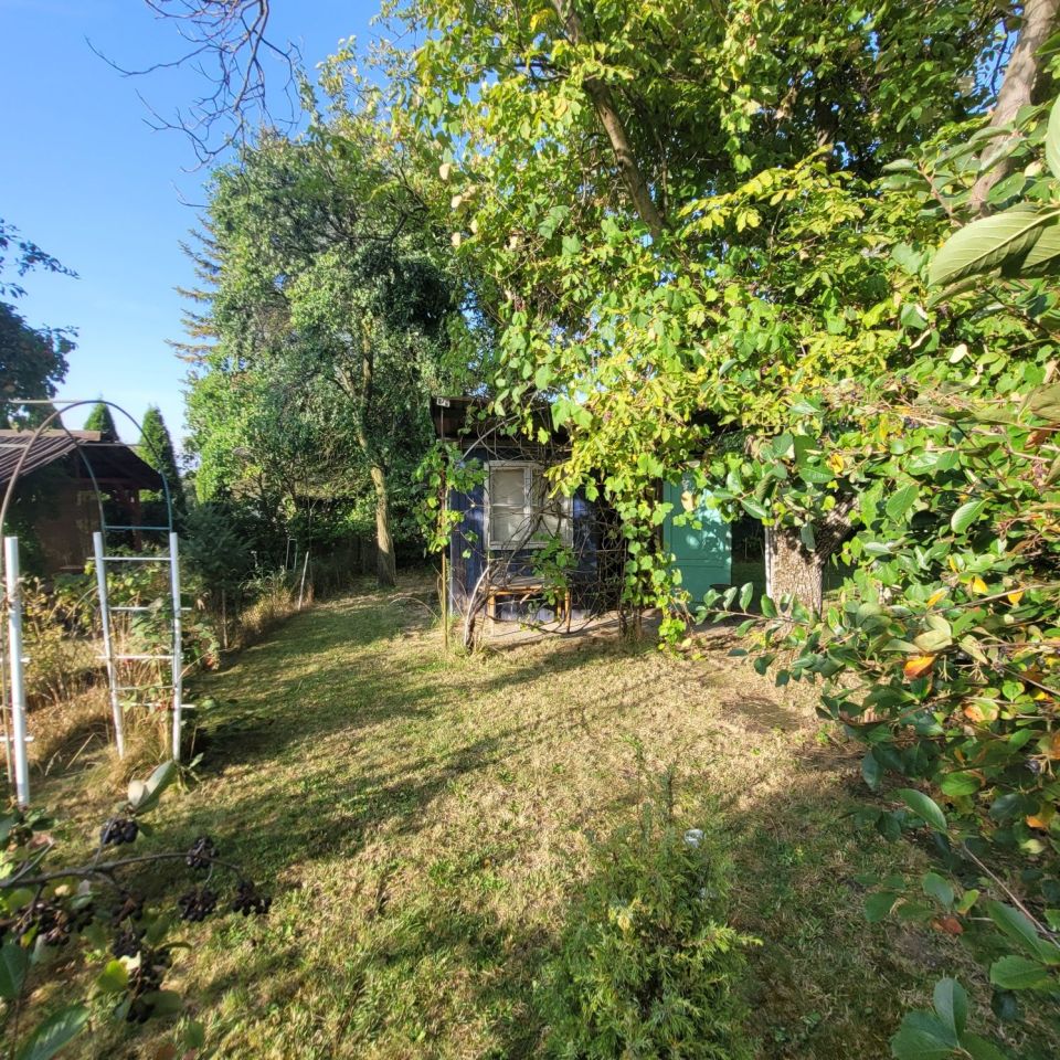 Działka rod Gliwice Stare Gliwice. Zdjęcie 2