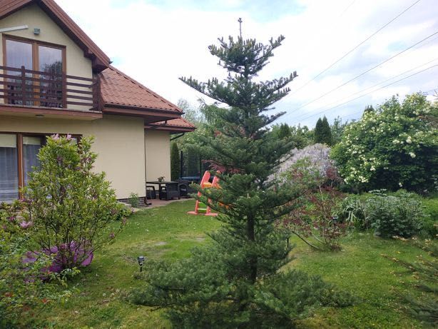 dom wolnostojący, 6 pokoi Warszawa Wilanów, ul. Zakamarek. Zdjęcie 3