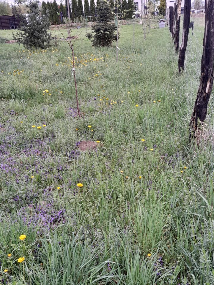 Działka budowlana Lubin Stary Lubin, ul. Przemysłowa. Zdjęcie 10